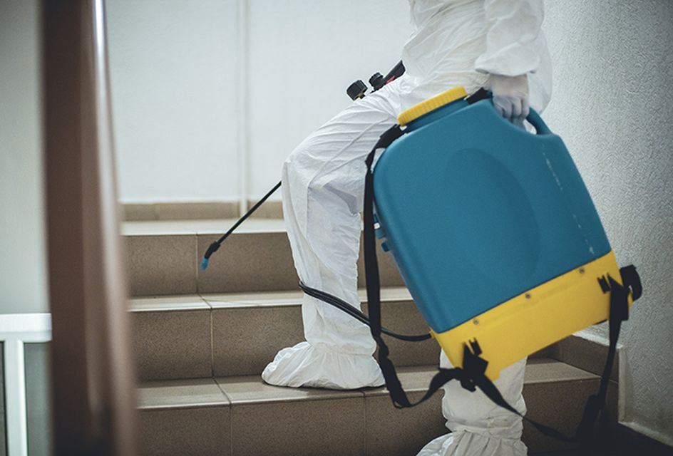 A pest controller fumigating