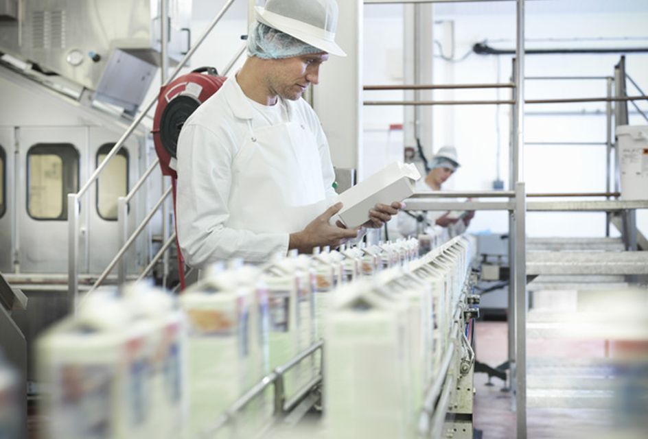 A man in a white coat, hair net and hat inspects bottles of milk in a factory.