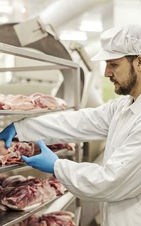 A man in a white coat and hair net inspects meat in a factory.