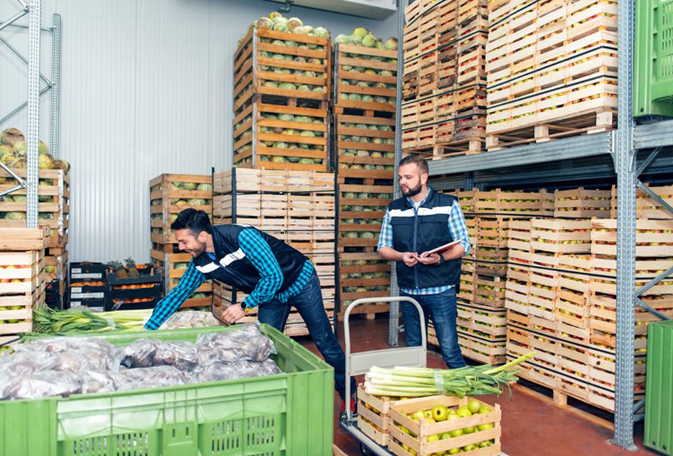 Two men in a warehouse inspect crates of vegetables.