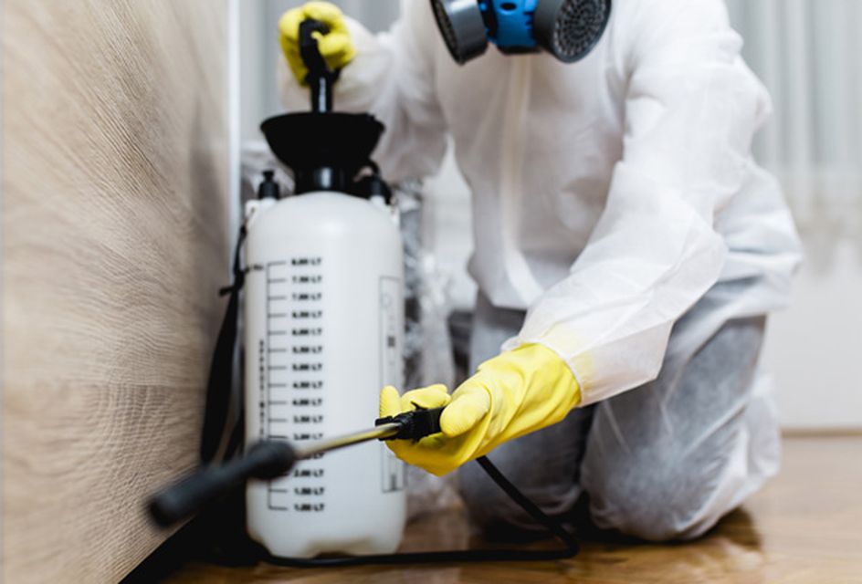 A pest management specialist spraying in a room