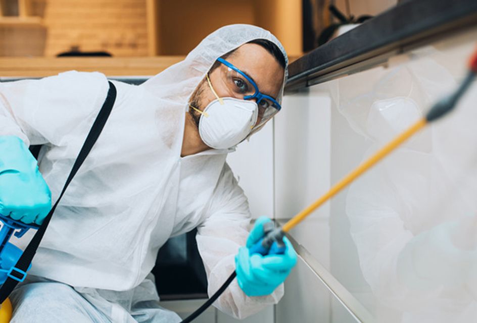 A pest management specialist spraying in a room