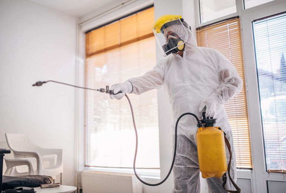 A pest management specialist spraying in a room